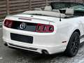 Ford Mustang 3.7 Cabrio/Facelift/PDC/Sitzheizung Blanc - thumbnail 8