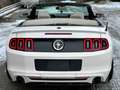 Ford Mustang 3.7 Cabrio/Facelift/PDC/Sitzheizung Blanc - thumbnail 6