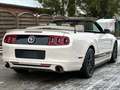 Ford Mustang 3.7 Cabrio/Facelift/PDC/Sitzheizung Blanc - thumbnail 7