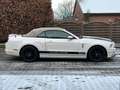 Ford Mustang 3.7 Cabrio/Facelift/PDC/Sitzheizung Blanc - thumbnail 14