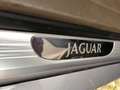 Jaguar XJ 3.5 V8 EXECUTIVE 82.000KM!!! NAVIGATIE, AUDIO/CD-W Grau - thumbnail 16