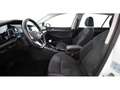 Volkswagen Golf Variant Golf VIII Variant 2.0 TDI Style Aut LED RADAR NAV Weiß - thumbnail 16
