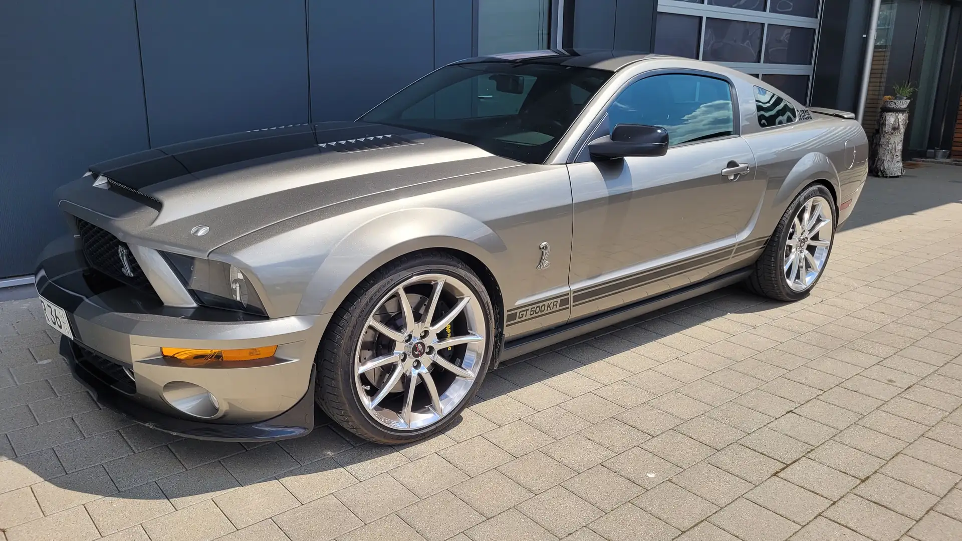Ford Mustang Carroll Shelby GT500 signature Gris - 2