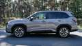 Subaru Forester 2.0 ie 100 kW AWD Exclusive Gris - thumbnail 1