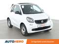 smart forTwo 1.0 Standard Aut.*CABRIO*SITZHEIZUNG*TEMPO* Alb - thumbnail 8