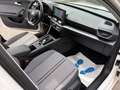 SEAT Leon 2.0 TDI Style *Voll* Weiß - thumbnail 14