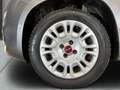 Fiat Panda 1.0 Base City Mild Hybrid Grau - thumbnail 4