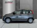 Fiat Panda 1.0 Base City Mild Hybrid Grau - thumbnail 2