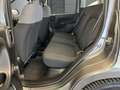 Fiat Panda 1.0 Base City Mild Hybrid Grau - thumbnail 9
