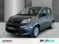 Fiat Panda 1.0 Base City Mild Hybrid Grau - thumbnail 1