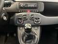 Fiat Panda 1.0 Base City Mild Hybrid Grau - thumbnail 11