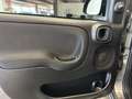 Fiat Panda 1.0 Base City Mild Hybrid Grau - thumbnail 13