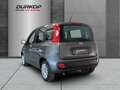 Fiat Panda 1.0 Base City Mild Hybrid Grau - thumbnail 3