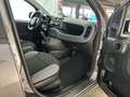 Fiat Panda 1.0 Base City Mild Hybrid Grau - thumbnail 16