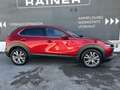Mazda CX-30 G122 Comfort+/ST / MATRIX LED Rot - thumbnail 6