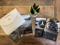 Mercedes-Benz Vito 111 CDI Lang Business Professional AIRCO-BLUETOOTH Argent - thumbnail 19