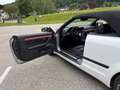 Audi A4 A4 Cabriolet 3,0 TDI V6 quattro DPF Tiptronic Weiß - thumbnail 5