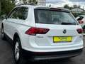 Volkswagen Tiguan Comfortline BMT/Start-Stopp 4Motion Bianco - thumbnail 5