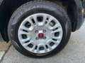Fiat Panda Panda 1.2 Easy 69cv E6 Nero - thumbnail 14