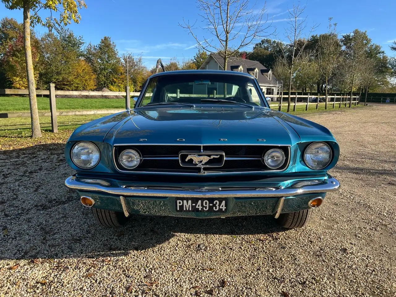 Ford Mustang 289 2+2 Fastback Manual – fully restored, foto 6