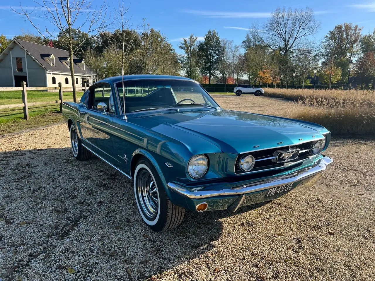Ford Mustang 289 2+2 Fastback Manual – fully restored, foto 9