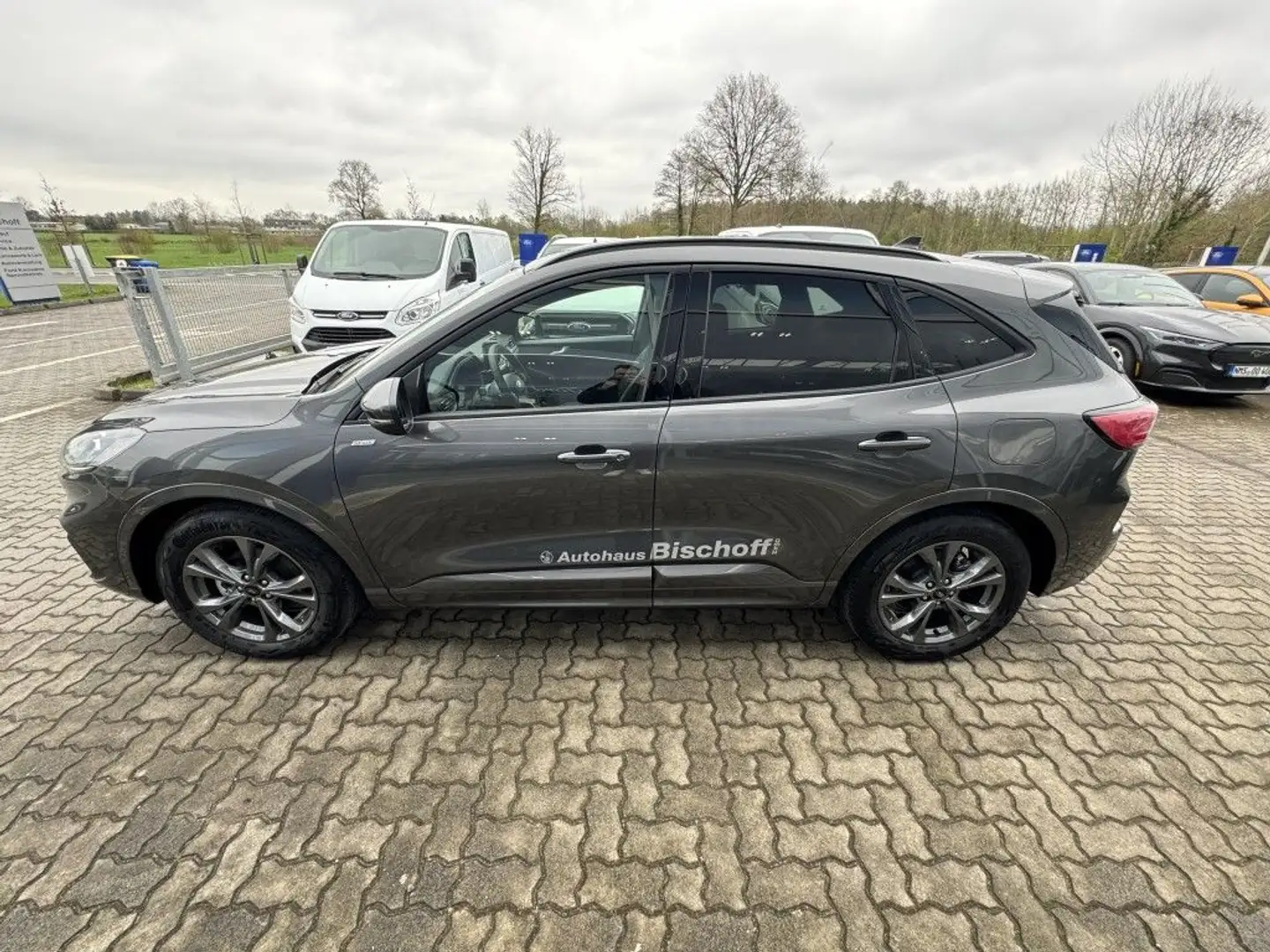 Ford Kuga 2.5 Duratec FHEV ST-LINE X Gris - 2