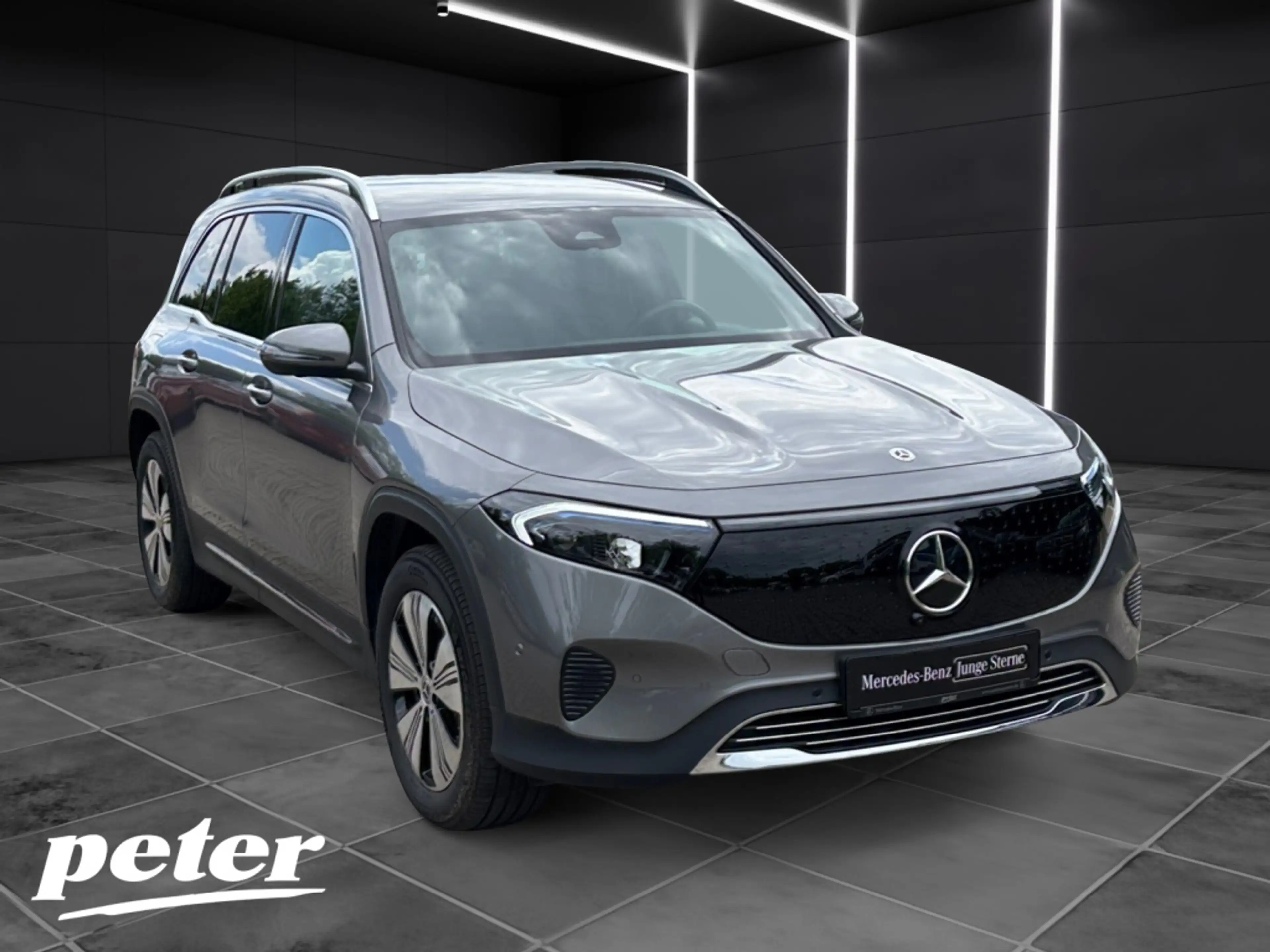 Mercedes-Benz EQB 300 4MATIC Progressive*Fahrassistenzpaket — photo 3
