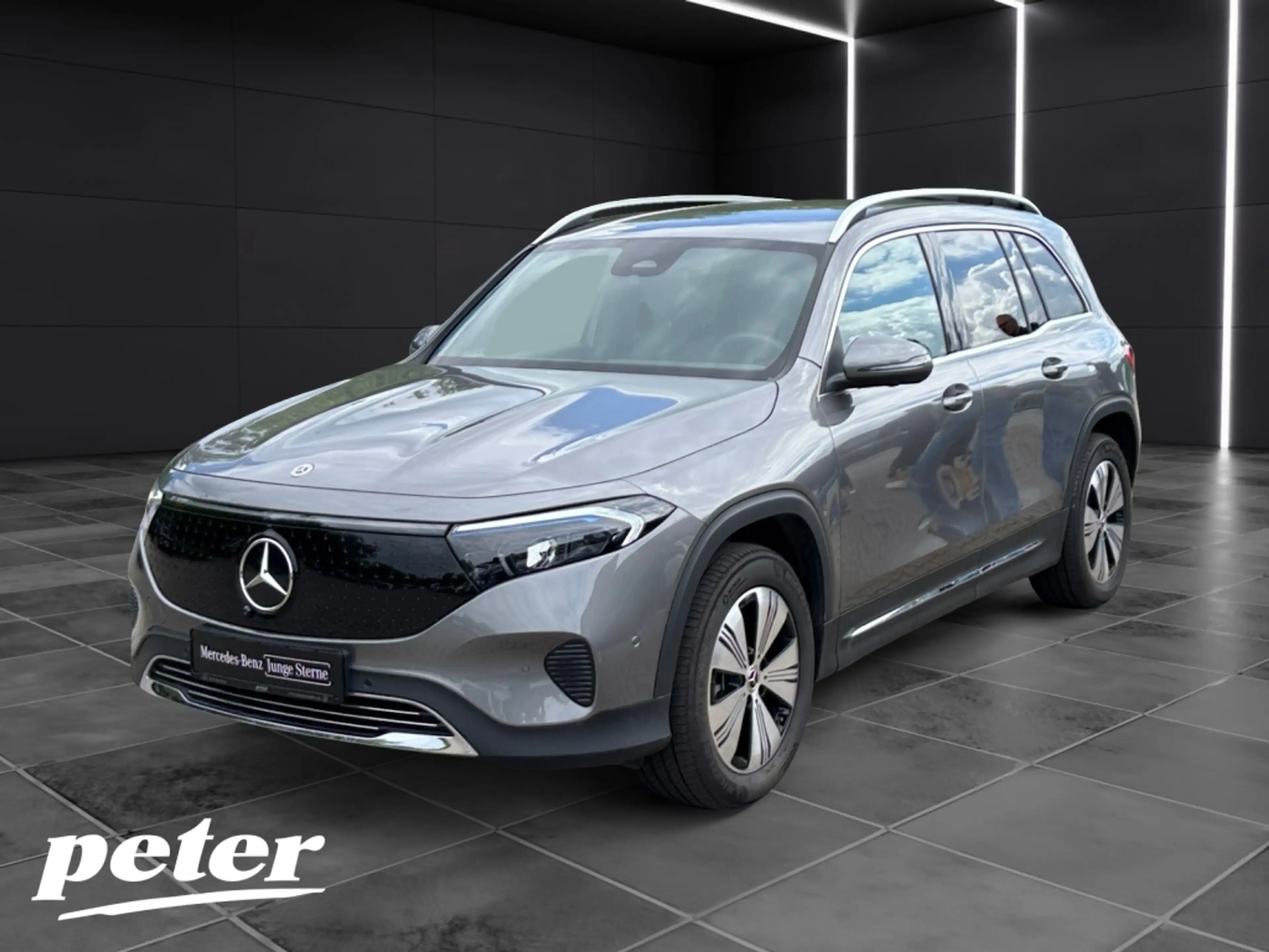 Mercedes-Benz EQB 300 4MATIC Progressive*Fahrassistenzpaket