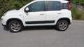 Fiat Panda 4x4 Wit - thumbnail 4