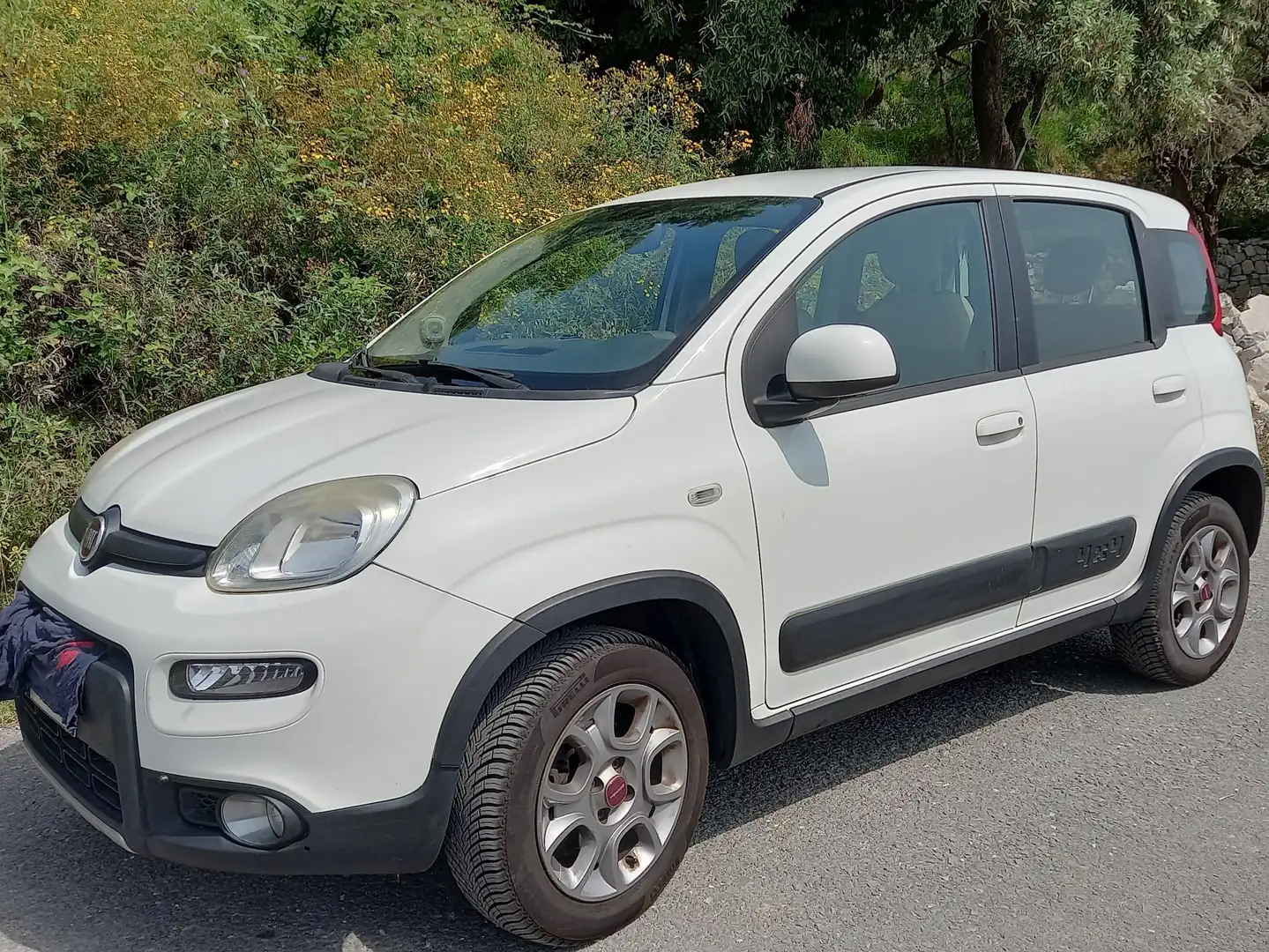 Fiat Panda 4x4 Wit - 2