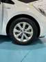 Kia Rio 1.2 Drive Blanco - thumbnail 13