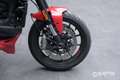 Ducati Monster 937 Red Rosso - thumbnail 8