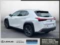 Lexus UX 250h Launch Edition Navi /FLA/ACC/LED/KlimaA Weiß - thumbnail 3