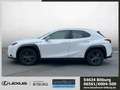 Lexus UX 250h Launch Edition Navi /FLA/ACC/LED/KlimaA Fehér - thumbnail 2