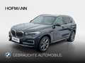 BMW X5 xLine Gris - thumbnail 1