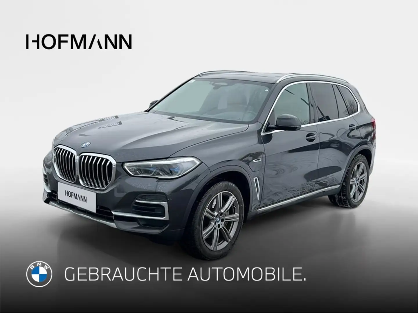 BMW X5 xLine Gris - 1