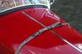 Fiat Balilla 508 Sport Spyder Rood - thumbnail 20