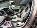 Volvo V40 V40 Cross Country T4- 180 - BV Powershift  Summum GPS + TOIT PANORAMIQUE - thumbnail 8