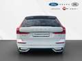 Volvo XC60 B4 D R Design Geartronic/RFK/KeyLess/ACC Bianco - thumbnail 7