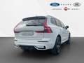 Volvo XC60 B4 D R Design Geartronic/RFK/KeyLess/ACC Bianco - thumbnail 6
