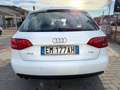 Audi A4 A4 Avant 2.0 TDI 143CV Advanced Plus Weiß - thumbnail 5