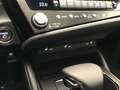 Lexus ES 300 ES Hybrid Design- PRONTA CONSEGNA! siva - thumbnail 14