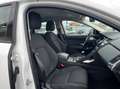 Jaguar E-Pace 2.0d i4 R-Dynamic S awd 150cv my19 Bianco - thumbnail 8