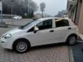 Fiat Punto 1.4 GPL EASYPOWER STREET 77CV E6 NEOPATENTATI 5P. Bianco - thumbnail 3