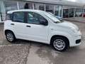 Fiat Panda Easy Klima Parksensoren Blanc - thumbnail 7