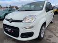 Fiat Panda Easy Klima Parksensoren Blanc - thumbnail 3