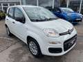 Fiat Panda Easy Klima Parksensoren Blanc - thumbnail 5