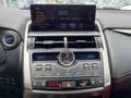 Lexus NX 300 h F Sport AHK*HUD*Pano*Navi*4xSHZ Noir - thumbnail 14