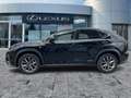 Lexus NX 300 h F Sport AHK*HUD*Pano*Navi*4xSHZ Noir - thumbnail 4