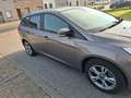 Ford Focus Focus EcoBoost Start-Stopp-System SYNC Edition Brun - thumbnail 3